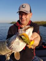 Rozemeijer Fat Dizzy 9cm 23Gr Speckled Blue Gill SBG - thumbnail