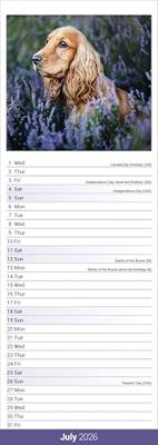 Engelse Cocker Spaniel Kalender 2026 Slimline Engelse Cocker Spaniel Kalender 2026 Slimline