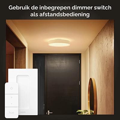 Philips Hue White ambiance Enrave kleine plafondlamp