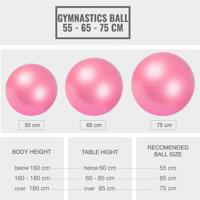 Fitnessbal Roze 65 cm incl. pomp - thumbnail