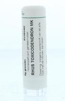 Homeoden Heel Rhus toxicodendron MK 6 Gram - thumbnail