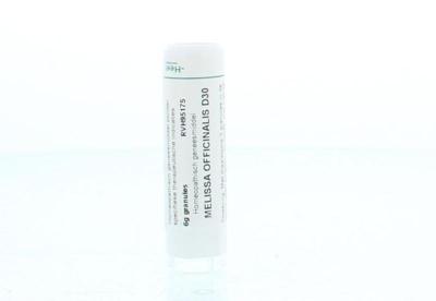 Homeoden Heel Melissa officinalis D30 6 Gram