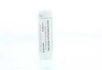 Homeoden Heel Melissa officinalis D30 6 Gram - thumbnail