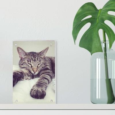 Acryl fotoblok maken - 10x15 cm Acryl fotoblok maken - 10x15 cm