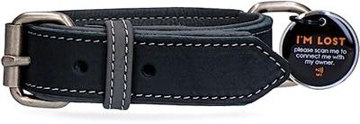 Spotted! Pro Leren Halsband Zwart 2,5 x 45 cm