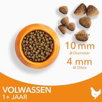 Iams Adult kattenvoer met verse kip 2 x 3 kg - thumbnail