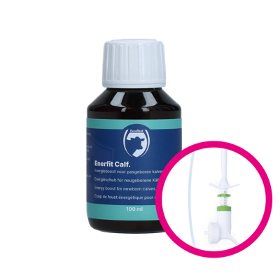 Enerfit Kalf / Big