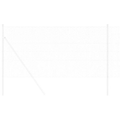 Hexagon Hek Zilver 0.4 x 100 m Gegalvaniseerd staal