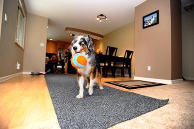 CHUCKIT INDOOR BALL 11,5X11,5X11,5 CM - thumbnail