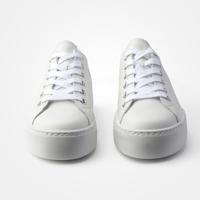 Paul Green 4790 - alle - thumbnail