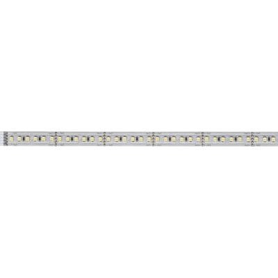 Paulmann MaxLED 1000 70568 LED-strip uitbreidingsset Met connector (male) 24 V 1 m Warmwit 1 stuk(s) Paulmann MaxLED 1000 70568 LED-strip uitbreidingsset Met connector (male) 24 V 1 m Warmwit 1 stuk(s)