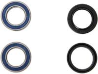 ALL BALLS Racing wiellagerset wheel bearing sets 25-166 complete with simmerrings - thumbnail