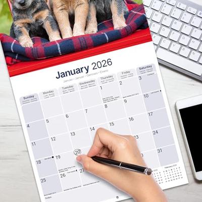 Australian Cattle Dog Kalender 2026 Australian Cattle Dog Kalender 2026