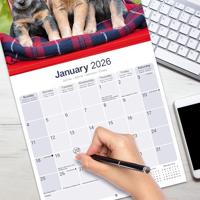 Australian Cattle Dog Kalender 2026 - thumbnail