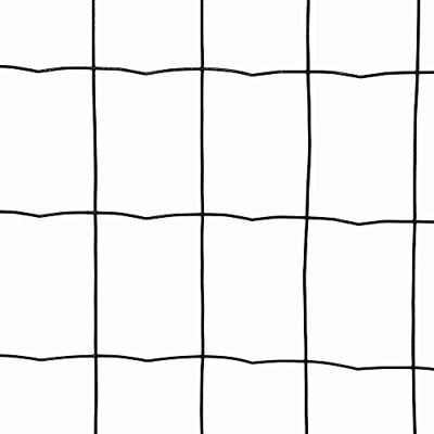 Siena Garden 229467 Traliehek Draad 25 m