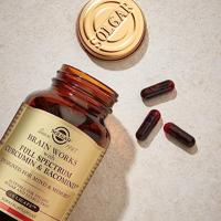 Solgar Brain Works (Brein*) Capsules - thumbnail