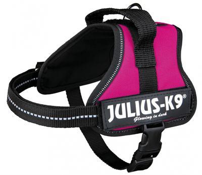 Julius K9 power-harnas / tuig voor labels fuchsia