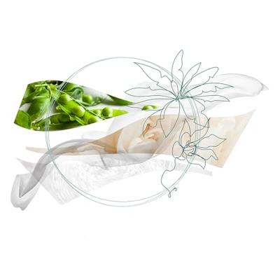 Ferragamo - Salvatore Ferragamo Giungle Di Seta Eau de Parfum Spray 100 ml Ferragamo - Salvatore Ferragamo Giungle Di Seta Eau de Parfum Spray 100 ml