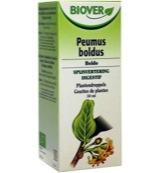 Biover Peumus boldus bio (50 ml) - thumbnail