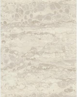Dutch Wallcoverings Fusione - 45073516