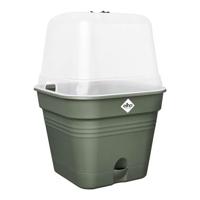 Elho green basics growpot square all-in-1 leaf green 30 - thumbnail