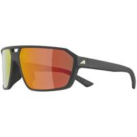 Alpina Swift - Sports Glasses - thumbnail