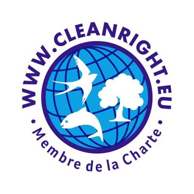 Dr Beckmann Reinigingsmesje