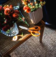 Fiskars Classic Universele Schaar | 18 cm - 1075052 - thumbnail