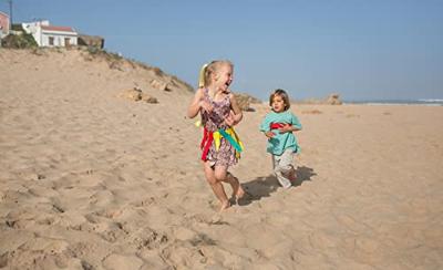 BS Toys vang & grijp kinderspel