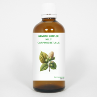 Balancepharma Gemmo simplex 7 carpinus betulus 100 Milliliter - thumbnail