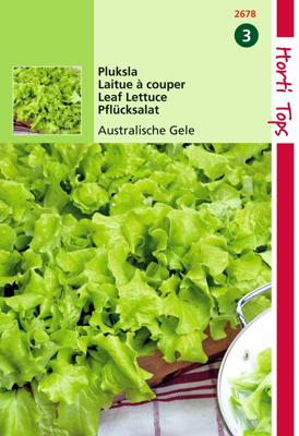 Zaden Pluksla Australische Gele Hortitops - Hortitops