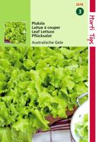 Zaden Pluksla Australische Gele Hortitops - Hortitops - thumbnail