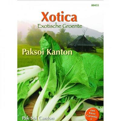 Zaden Xotica Paksoi Kanton Pak-choi Buzzy - Buzzy