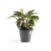 Ecopots Bloempot Amsterdam Ø30cm - Grijs - thumbnail