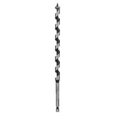 Bosch Accessoires Houtslangenboor, zeskant 11 x 160 x 235 mm, d 6,35 mm 1st - 2608597625 Bosch Accessoires Houtslangenboor, zeskant 11 x 160 x 235 mm, d 6,35 mm 1st - 2608597625