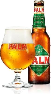 Palm Bierglazen - 250 ml - 2 stuks Palm Bierglazen - 250 ml - 2 stuks