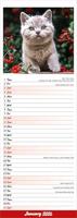 Kittens Kalender 2026 Slimline - thumbnail