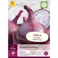 Plantenuien red baron - thumbnail