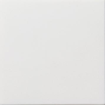 Gira F100 blindplaat zuiverwit glanzend