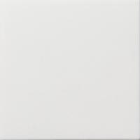 Gira F100 blindplaat zuiverwit glanzend - thumbnail