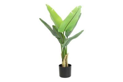 Decostar Strelitzia plant 90 cm groen