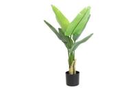 Decostar Strelitzia plant 90 cm groen - thumbnail
