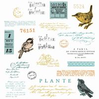 Sizzix • clear stamp set a5 with framelits die bird song 28pcs - thumbnail