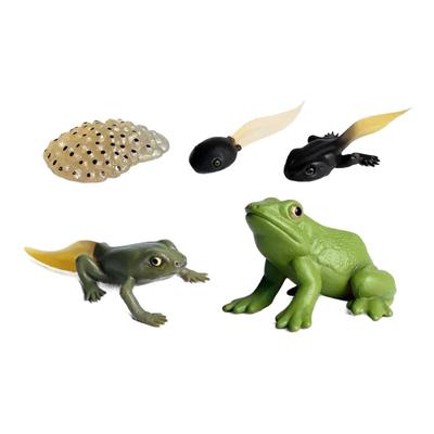 Cycplus Levenscyclus kikker speelfiguren set