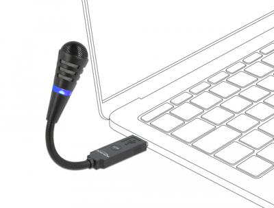 DeLOCK USB zwanenhalsmicrofoon met mute knop
