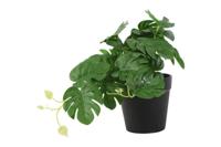 Monstera kunststof 26x22x17 cm groen Countryfield - Countryfield - thumbnail