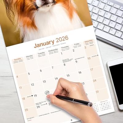 Papillon Kalender 2026 Papillon Kalender 2026