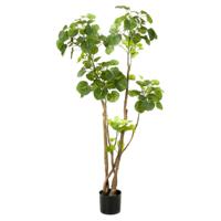Emerald kunstboom in pot aralia 160 cm - thumbnail