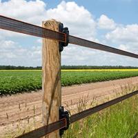 Gallagher TurboStar Paarden tussenisolator (100) - 699066 699066 - thumbnail