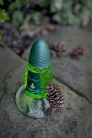 Herenparfum Pino Silvestre EDT Original 125 ml - thumbnail